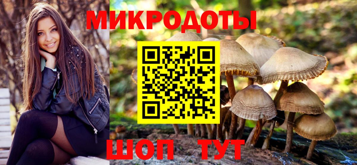 Коломна  Галлюциногенные грибы GOLDEN TEACHER  Галлюциногенные грибы GOLDEN TEACHER  Вход с VPN 